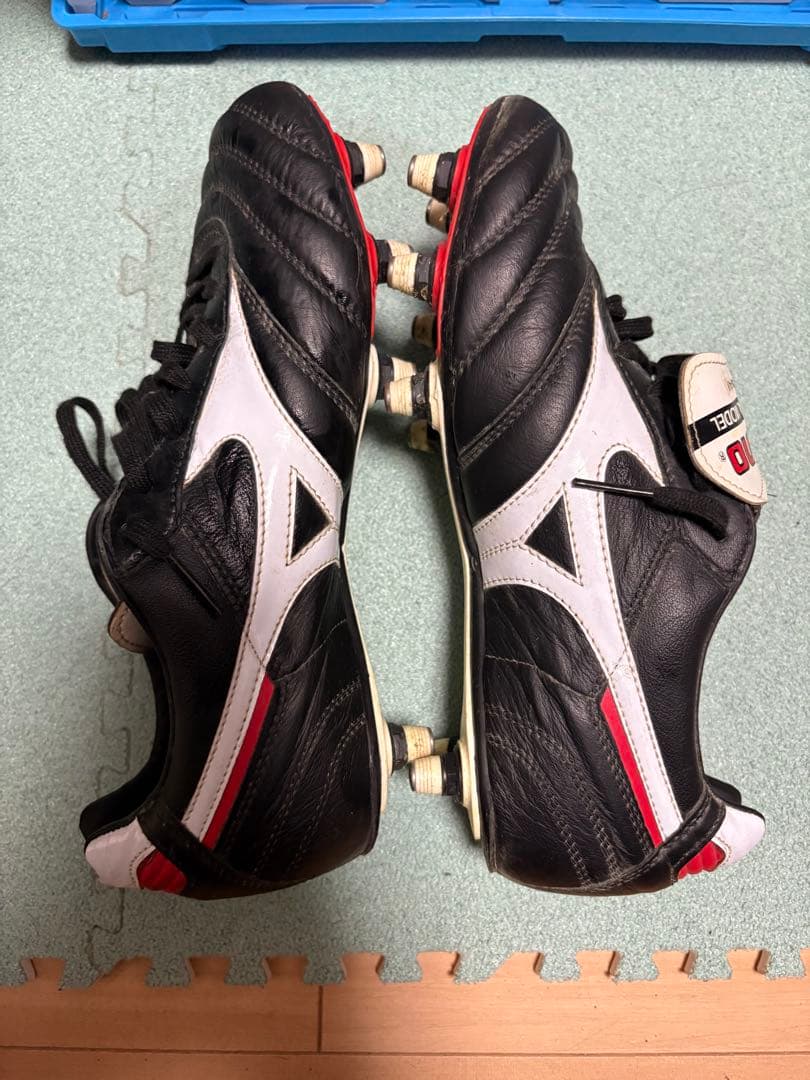 モレリア2 取替式