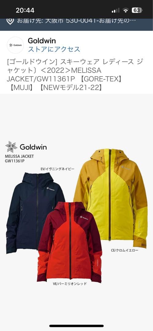 ゴールドウィン スキーウェア上下　レディースL