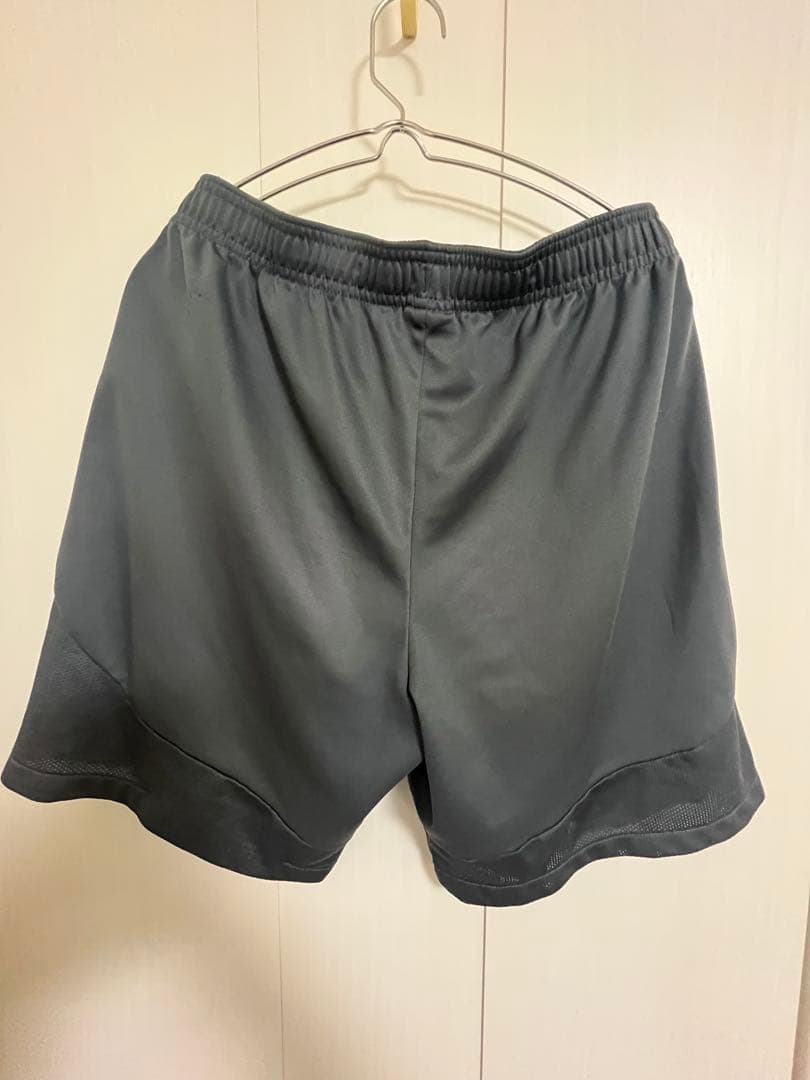 サンフレッチェ広島