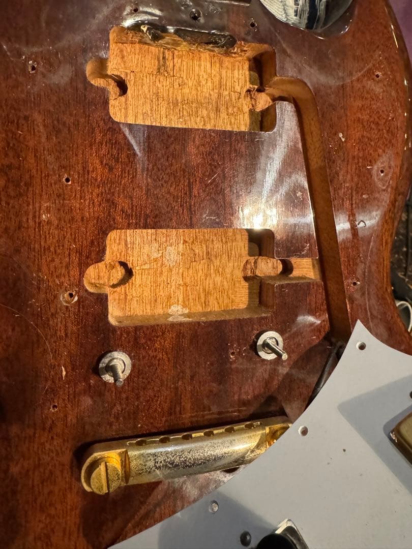 Gaban ギャバン SG セットネック Char