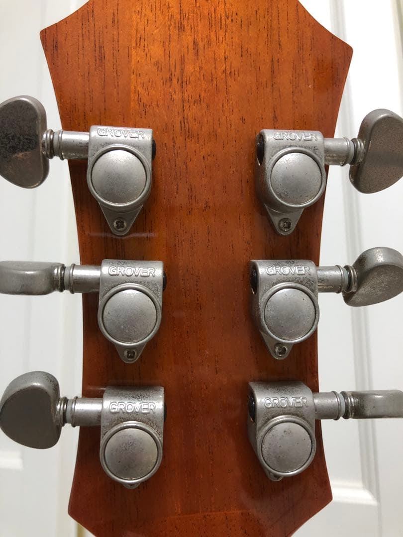 ギター Epiphone riviera Nick Valensi