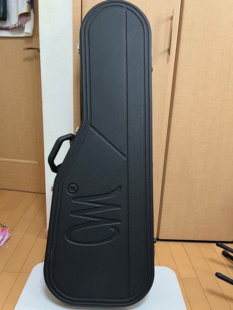 ギター Mayones Regius 6/Lefty (T-GRA-G)