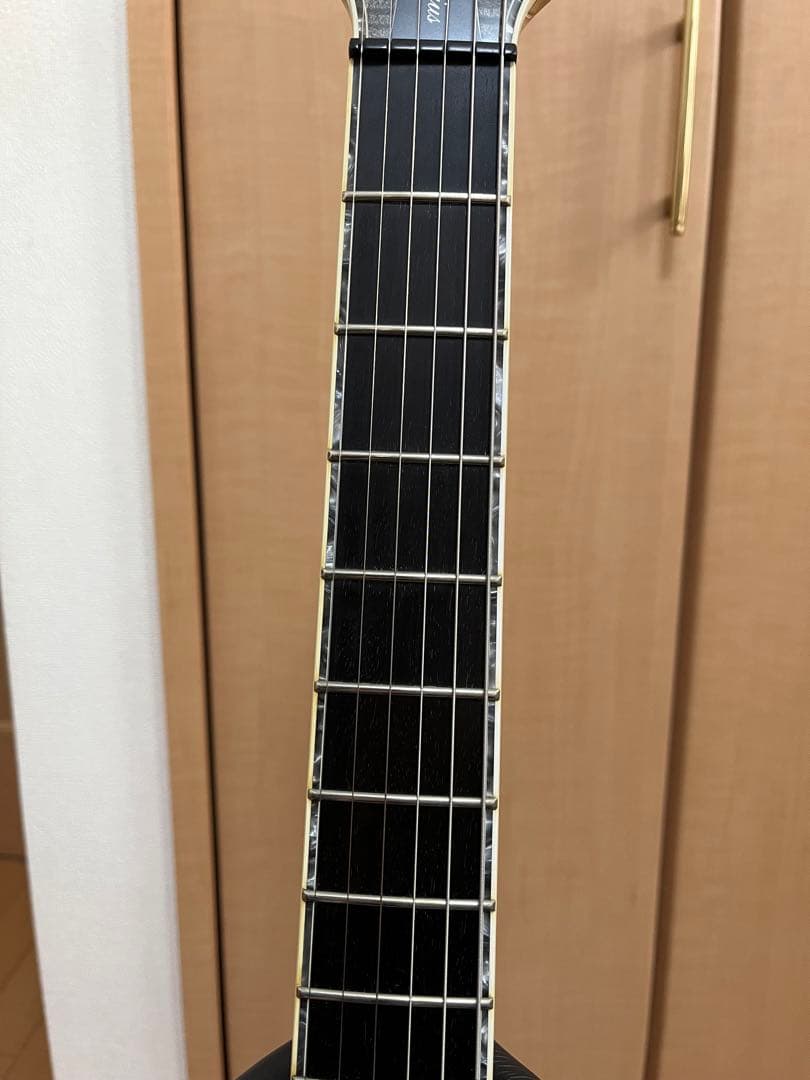 ギター Mayones Regius 6/Lefty (T-GRA-G)
