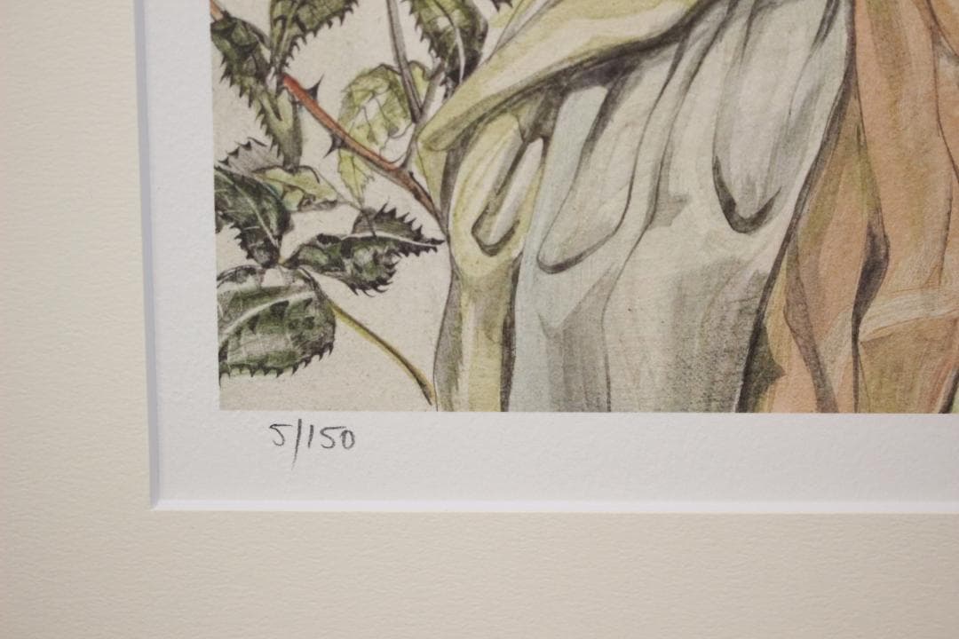 藤田嗣治 エスタンプリトグラフ バラと少女 150部限定