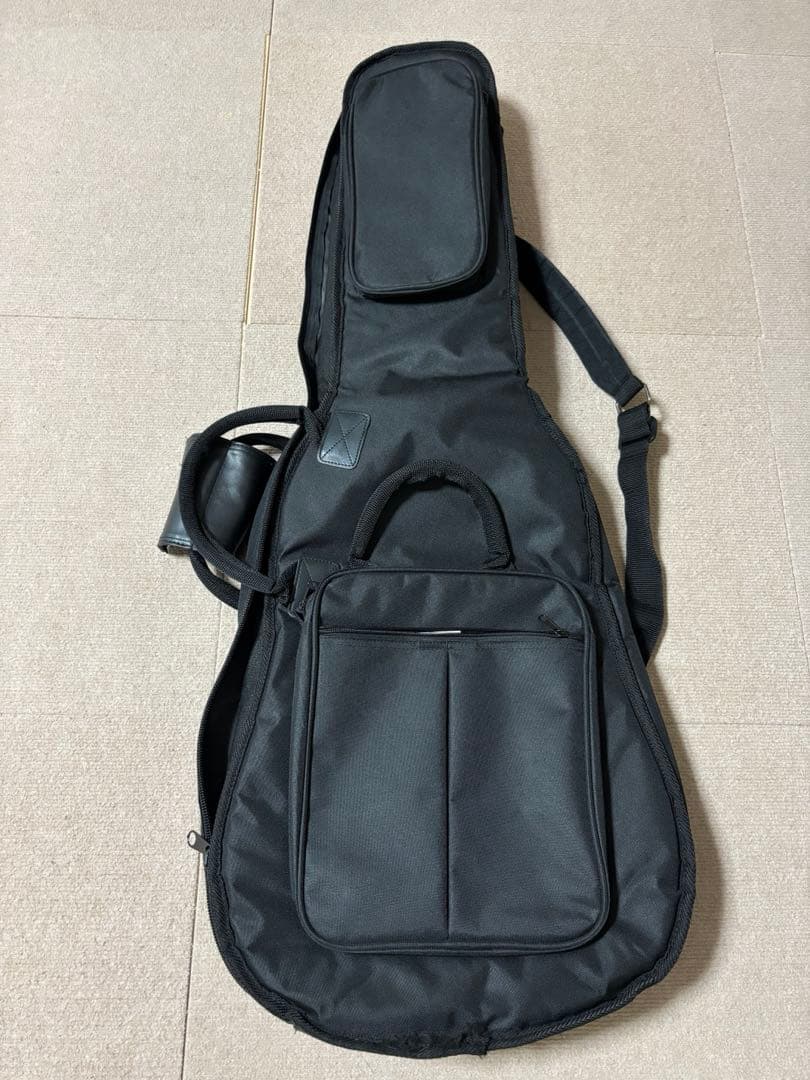 Psychederhythm サイケデリズム Standard-Ｔ ギター