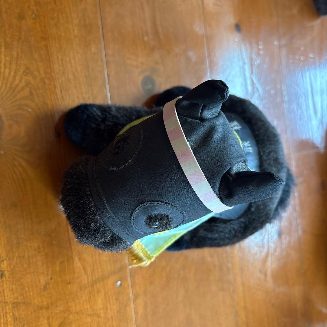 ステイゴールド 2001 THE HONG KONG VASE avanti