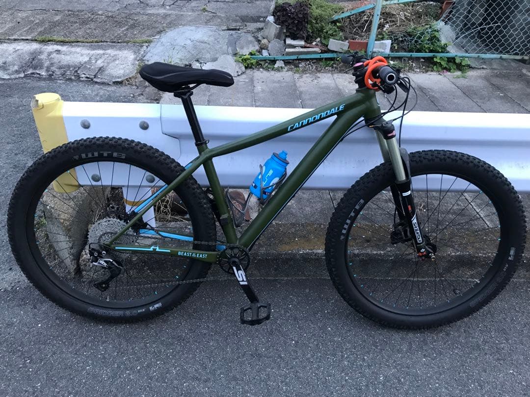 CANNONDALE BEAST OF THE EAST カスタム 引取限定