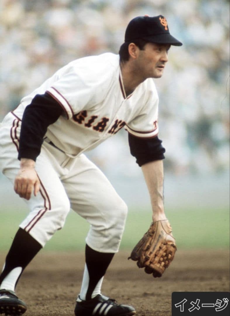 Rawlings ホワイトラベル GIANTS 長嶋茂雄刺繍入り