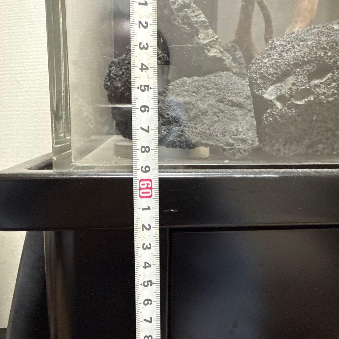 大きなガラス水槽 内蔵フィルター付き