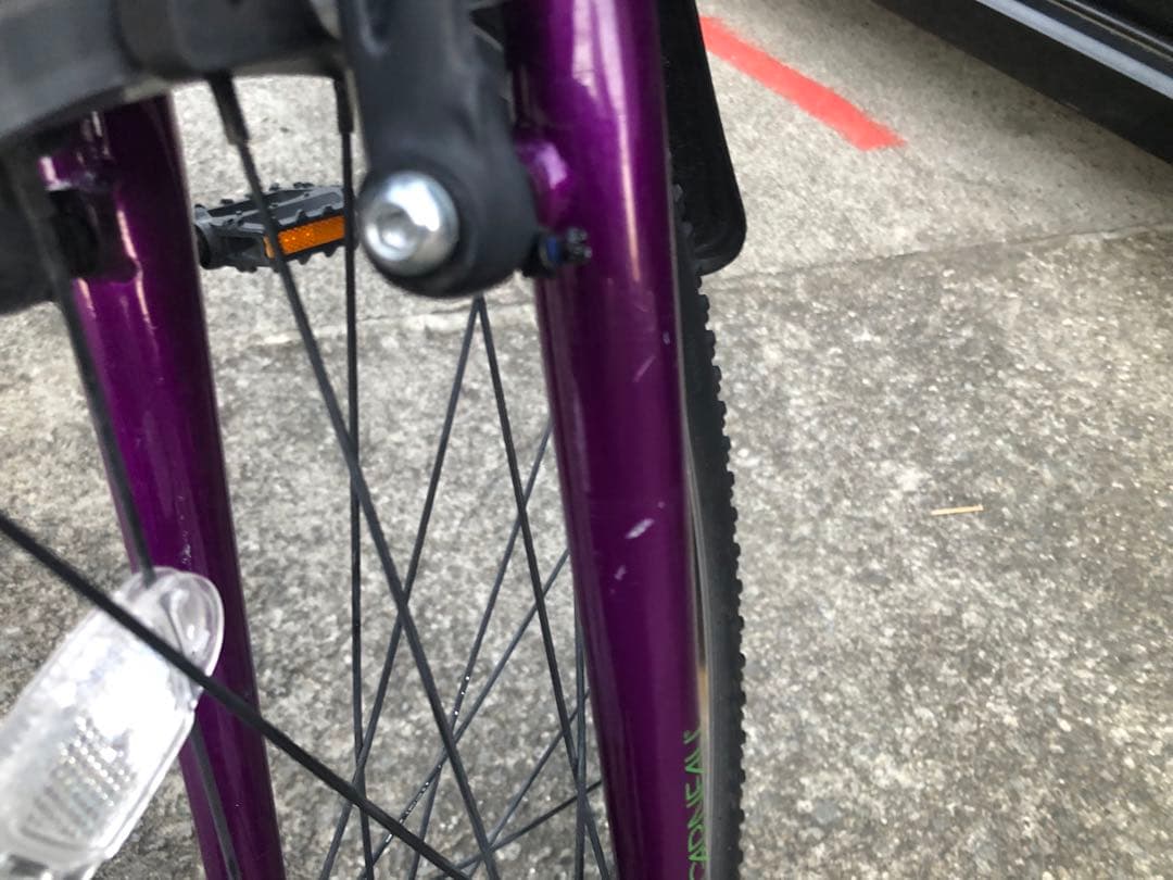 ルイガノジュニア22インチ　現行モデル