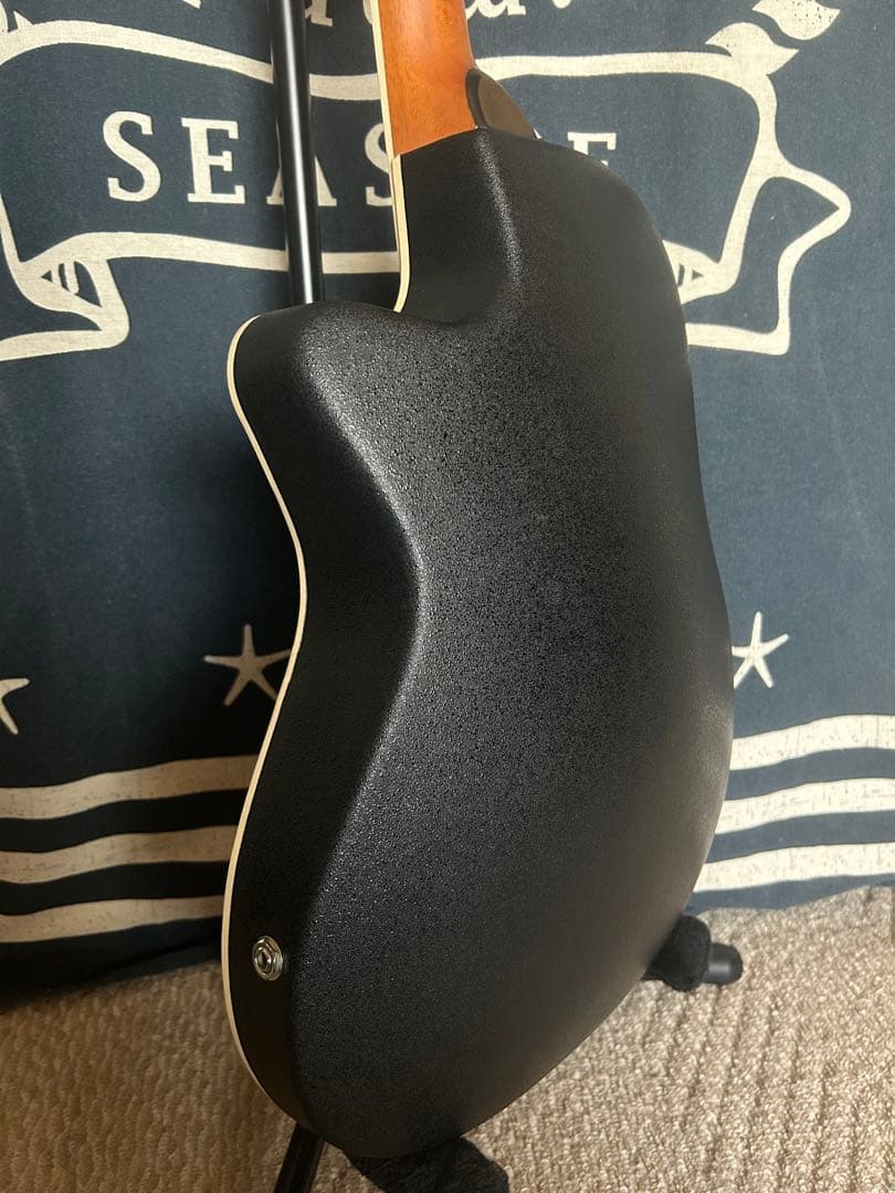 今月特価‼️90年代❣️ProMartinトラベルsizeエレアコ　SEA350RS