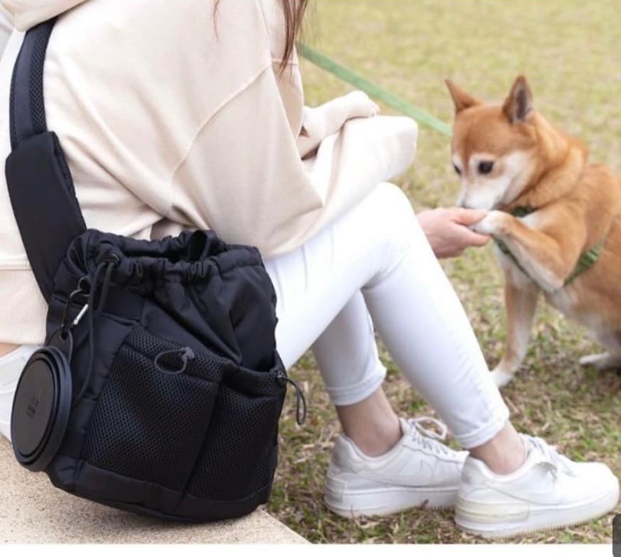 【美品】PUPS&BUBS お散歩バッグ