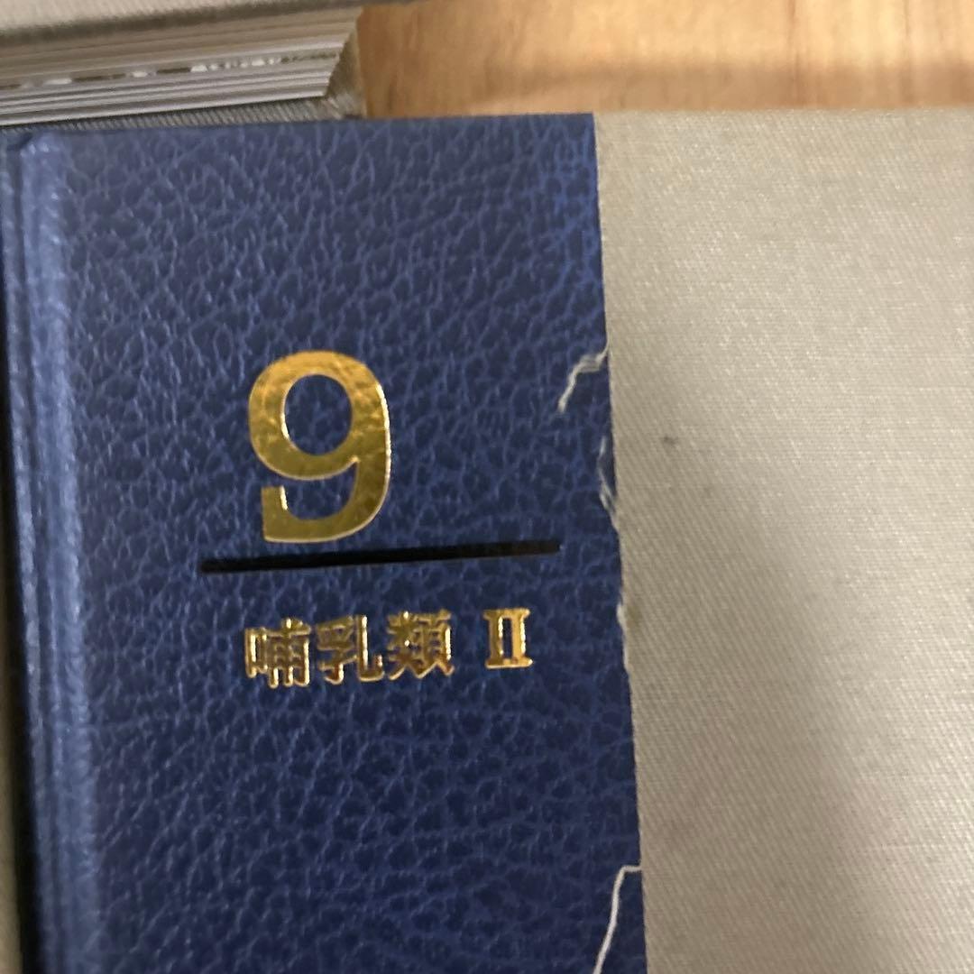 朝日百科 動物たちの地球 朝日新聞社