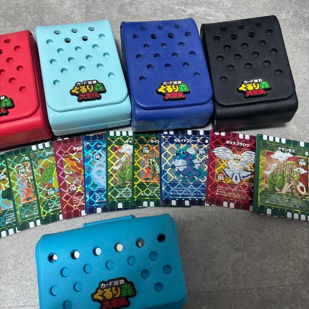 ぐるり森　カードケース6個　ぐるりん付き