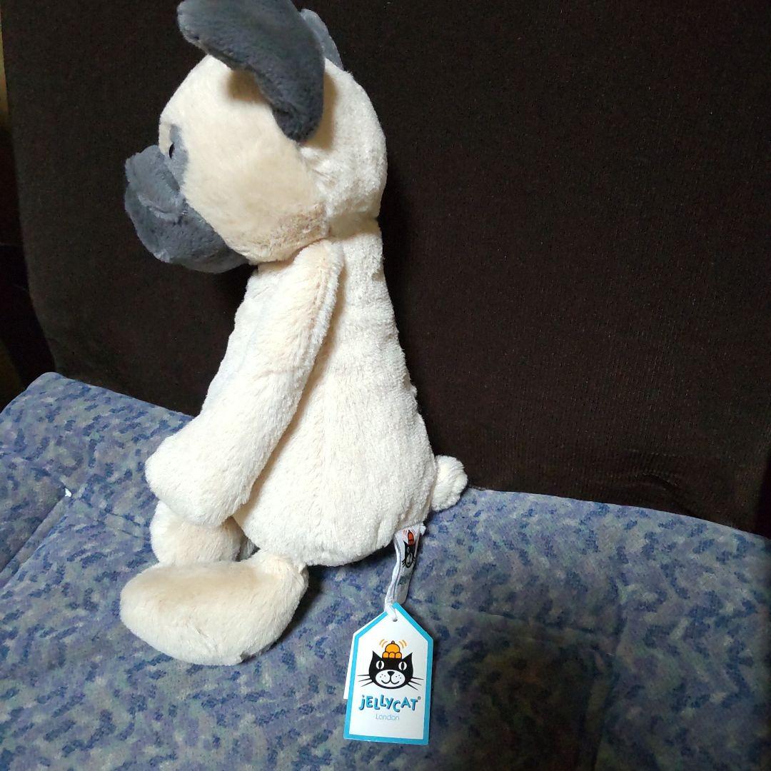  ジェリーキャット パグ 犬