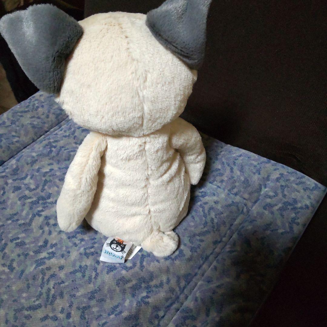  ジェリーキャット パグ 犬