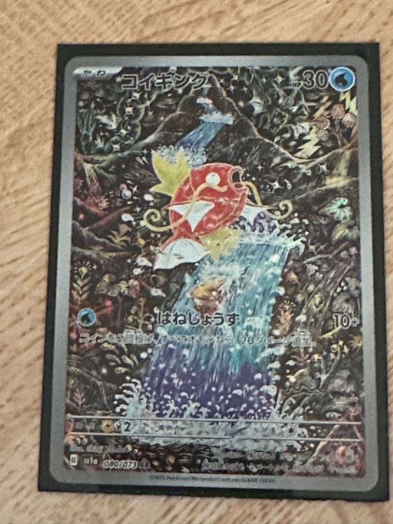 とふらみんこ　コイキング、サンダーおまとめ