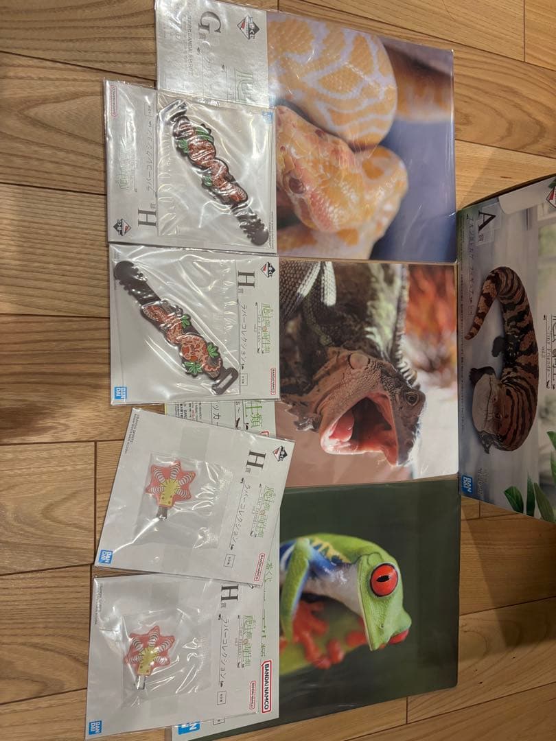 一番くじ 爬虫類＆両生類～Tiny Friends～vol.2 A賞　ラストワン