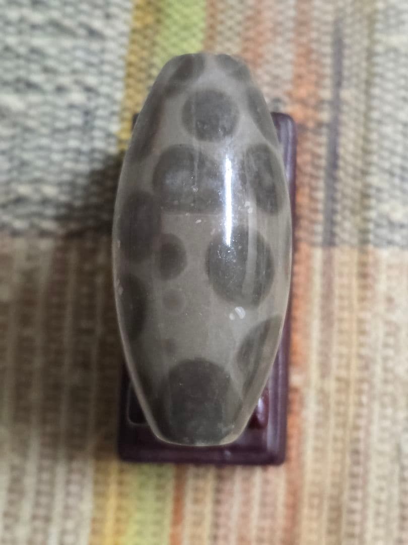 886　天珠　希少　釈迦偉伝　水晶質瑪瑙　西蔵　金剛　仏舎利！