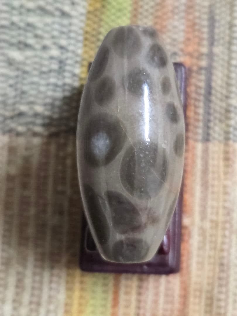 886　天珠　希少　釈迦偉伝　水晶質瑪瑙　西蔵　金剛　仏舎利！