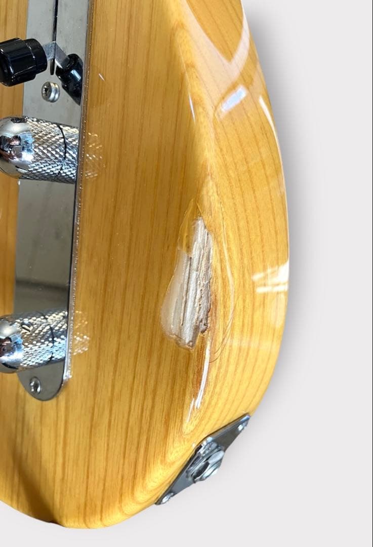 FUJIGEN Neo Classic NTE100MAH-VNT（ケース付き）