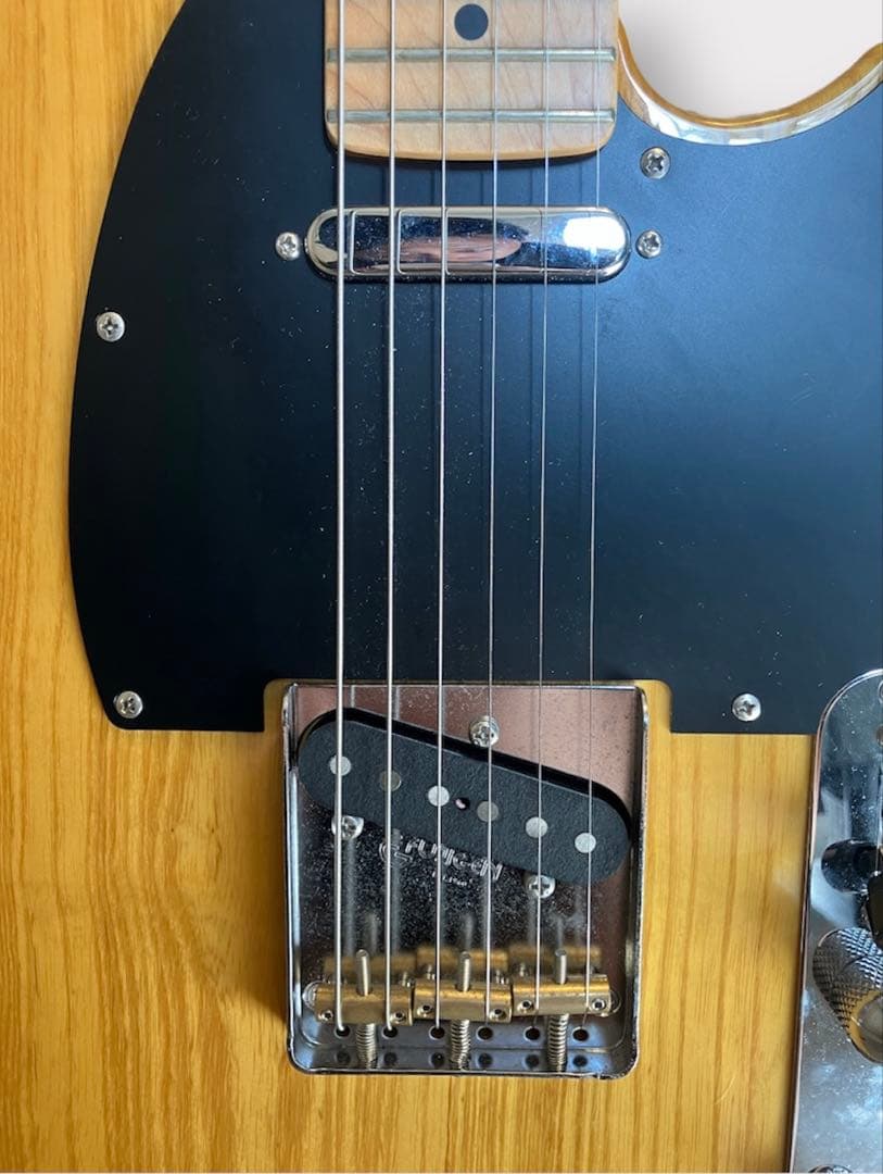 FUJIGEN Neo Classic NTE100MAH-VNT（ケース付き）