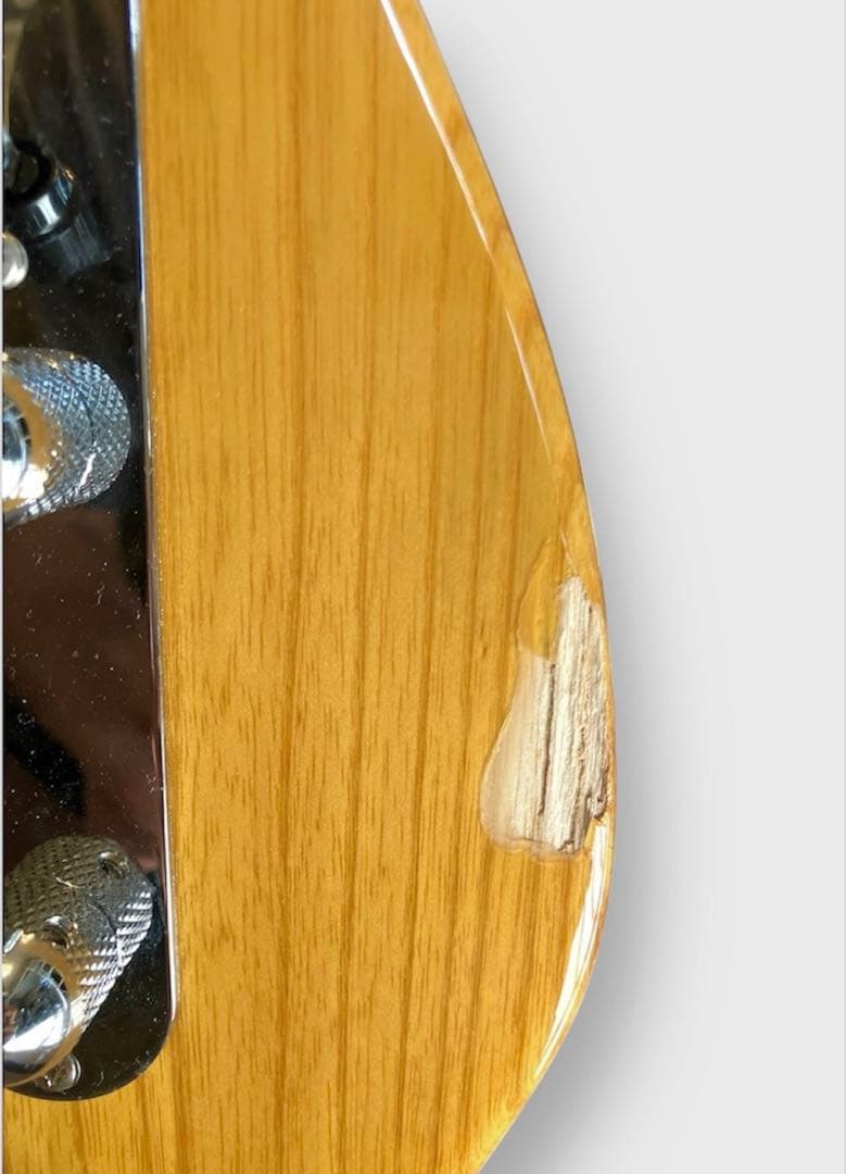 FUJIGEN Neo Classic NTE100MAH-VNT（ケース付き）