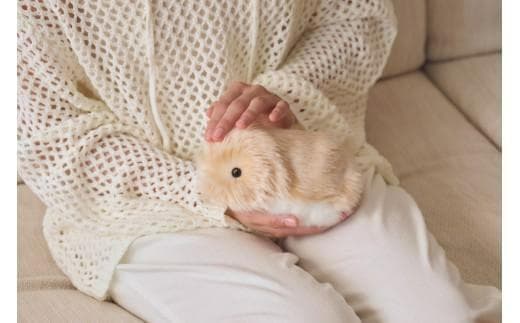 新品【CASIO】AIペットロボット「Moflin」