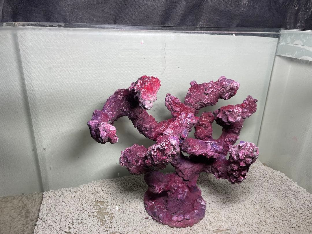 現物在庫SALE‼︎人工ライブロック　THR03 アク抜き済み安心塗料使用