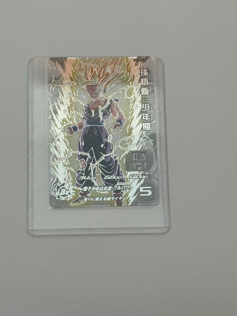 A*N様 UM12-SEC3 LC 孫悟飯:少年期