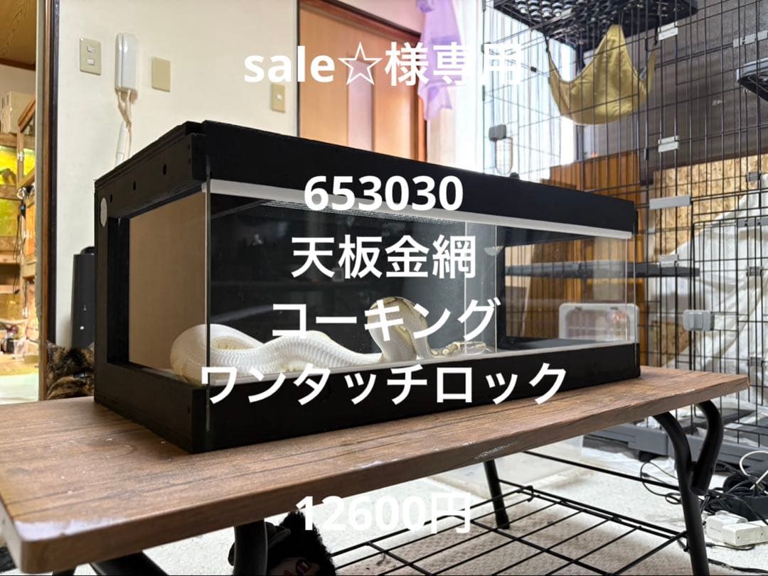 sale☆　653030ブラック