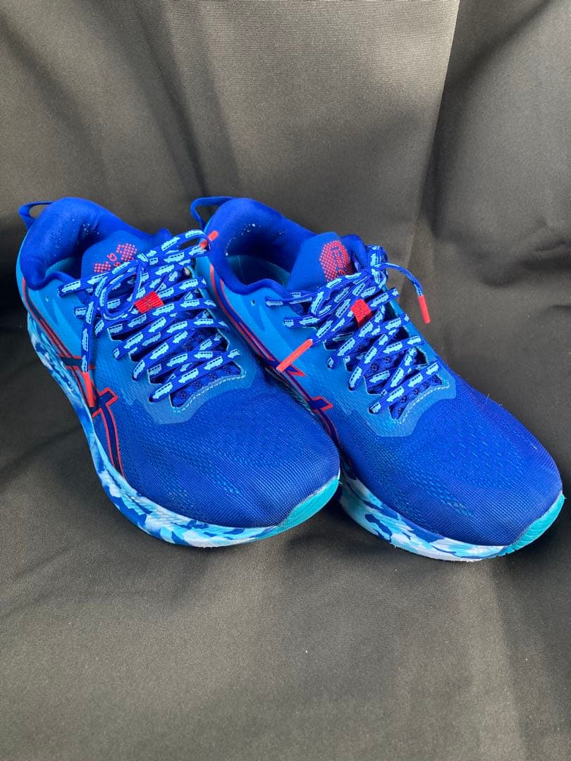 スパイク・シューズ Asics Gel Noosa Tri-13 'Boston'
