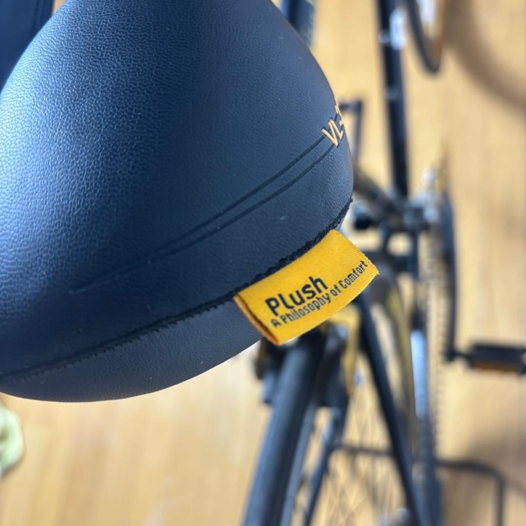 【現地引取】Raychell+ GolDragon 700C R+713