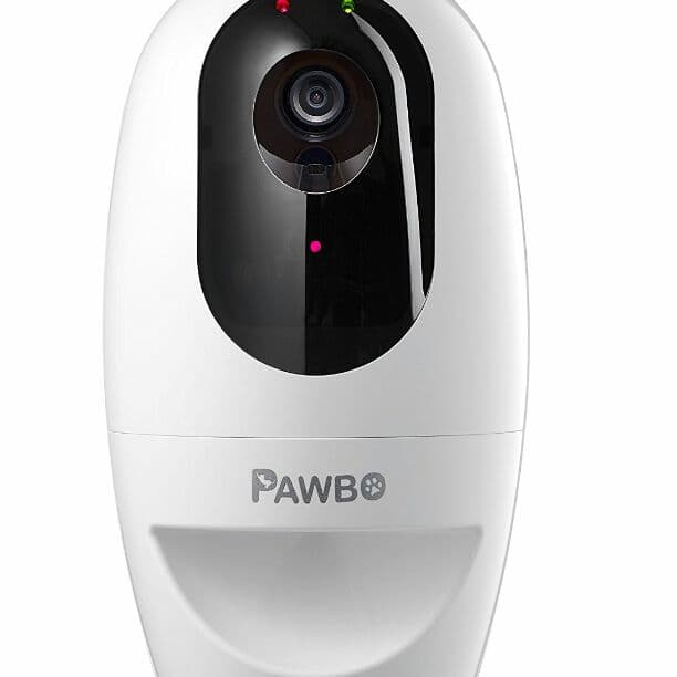 犬、猫のお留守番に！パウボ PAWBO+ 新品未使用品　送料込