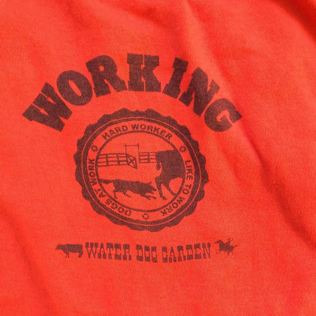 WATER DOG GARDEN 犬服(中型犬) 赤×紺