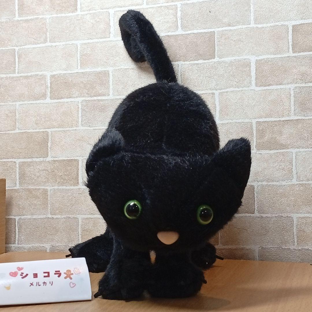  Spookipaws Cat 黒猫 ブラックキャット　ネコ