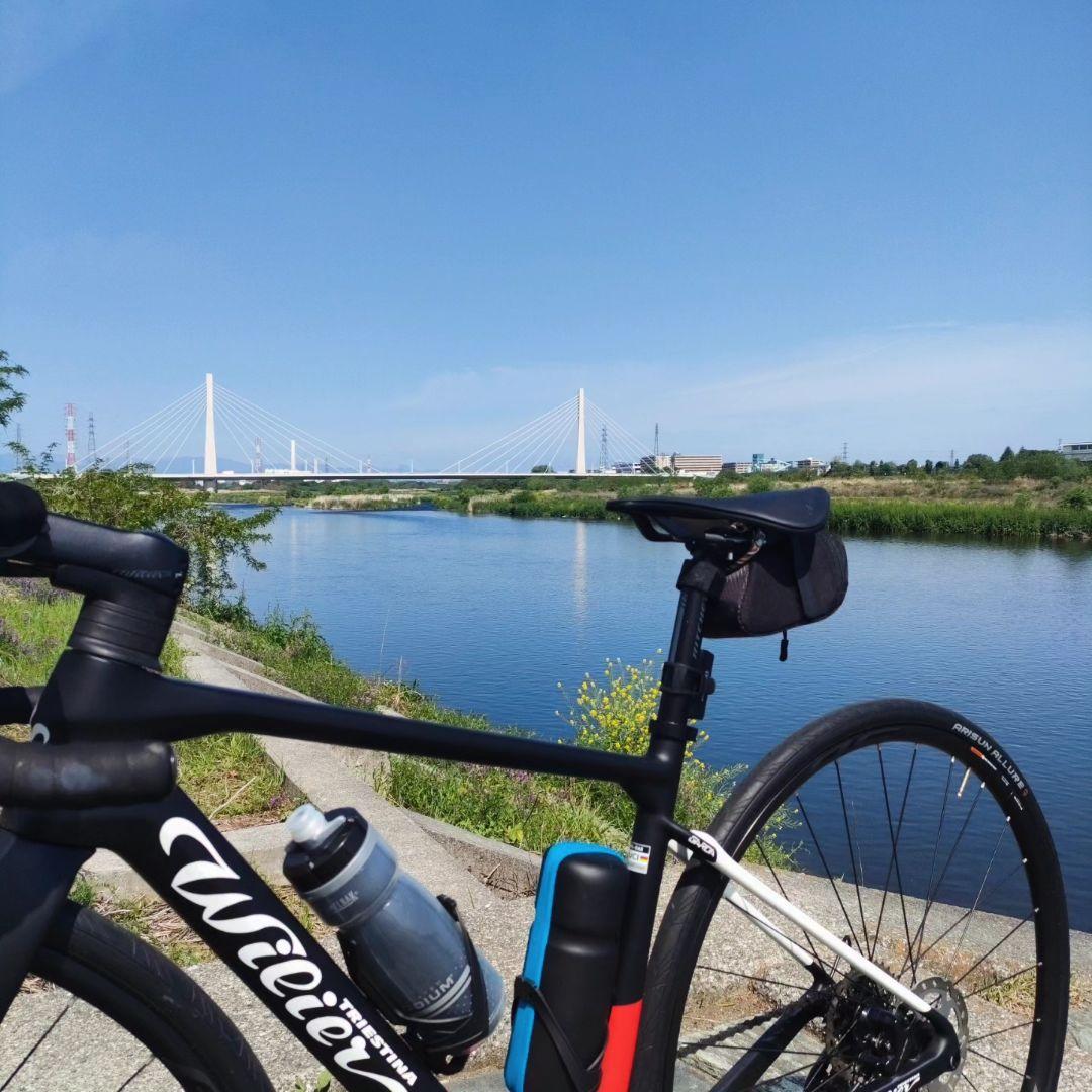 ウィリエール　ガルダdisc　完成車　ロードバイク　カーボンロード