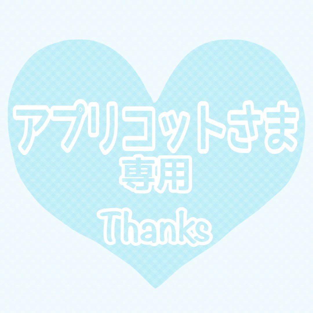 ♡アプリコットさま専用♡ トリミングチョーカー