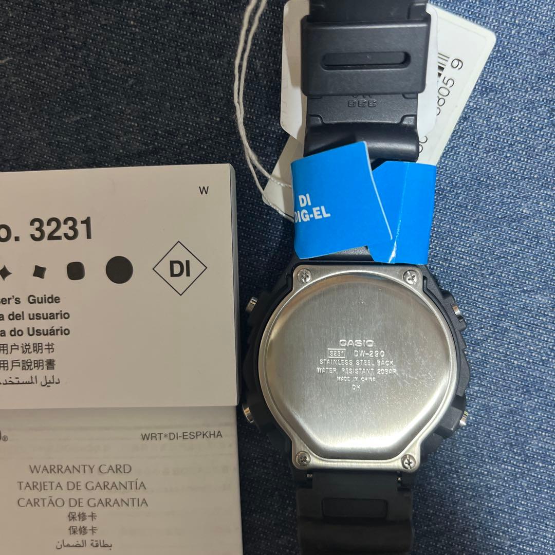 CASIO DW-290-1（説明書付き）