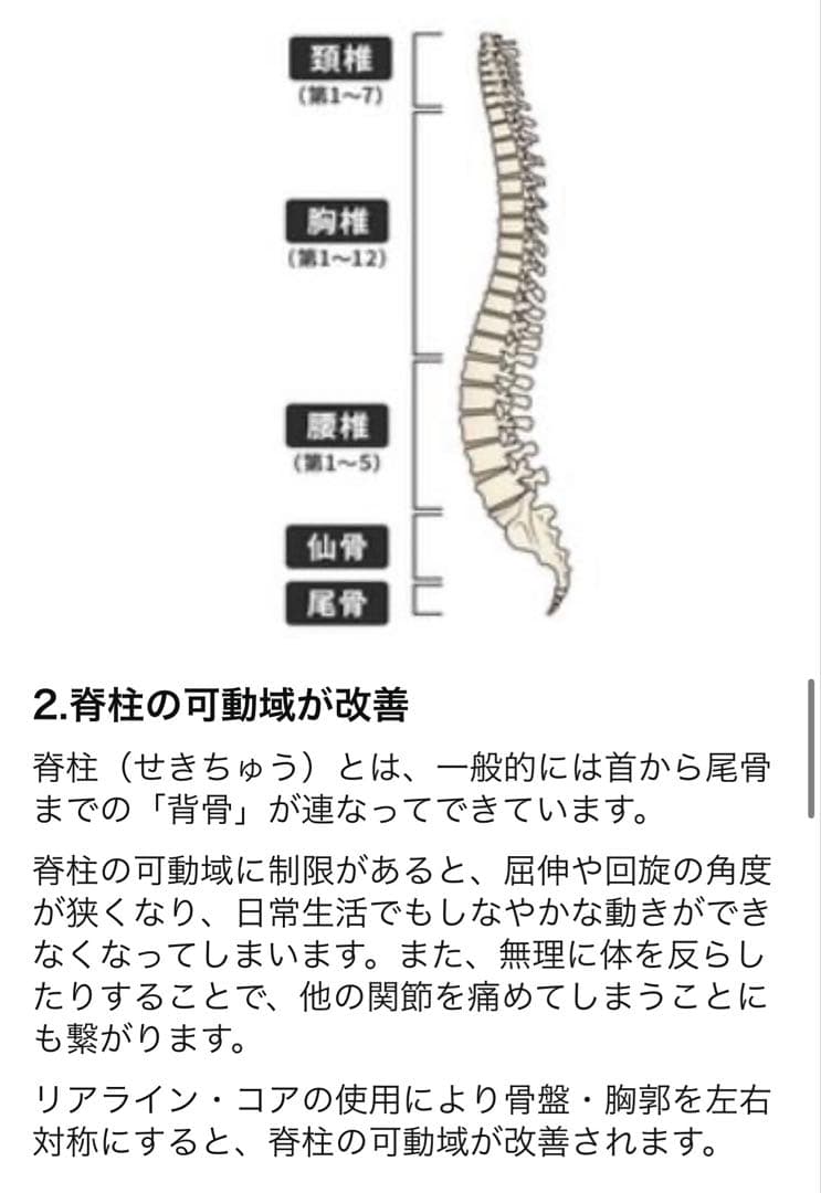 リアラインコア　2個セット