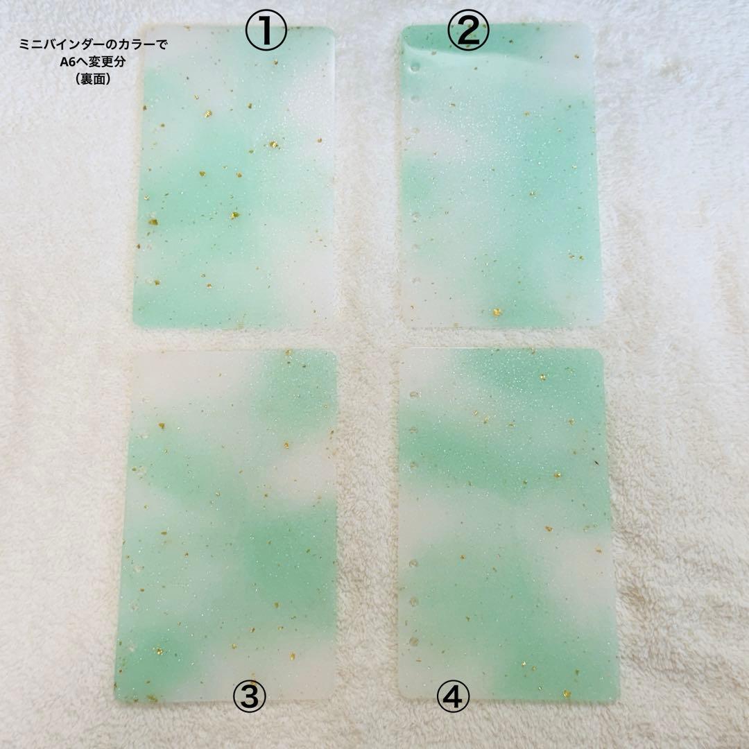 【ゆう】レジンバインダーNo.37 グリーン×ホワイト