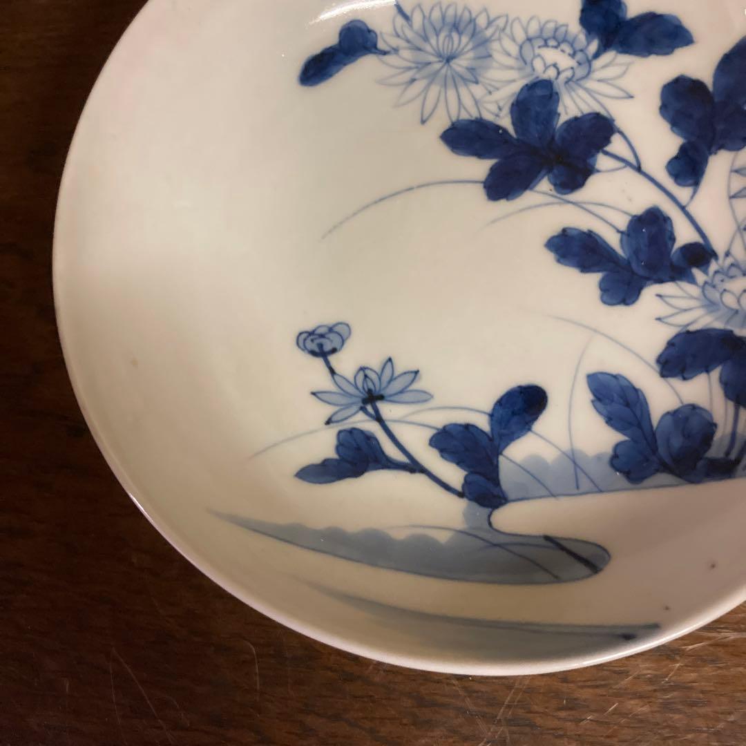 鍋島焼　古鍋島　染付　五寸皿　菊花七宝文　五客揃