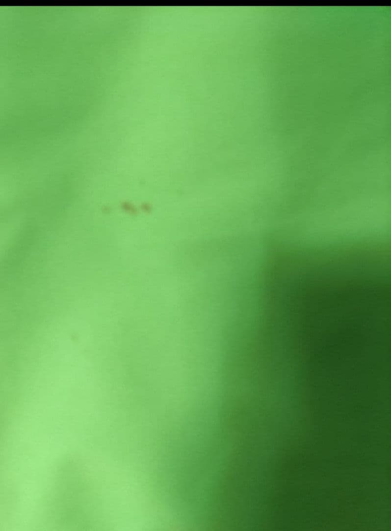 値下げ‼️ 程度良好 クリーニング処理済み Gold WIN 上下