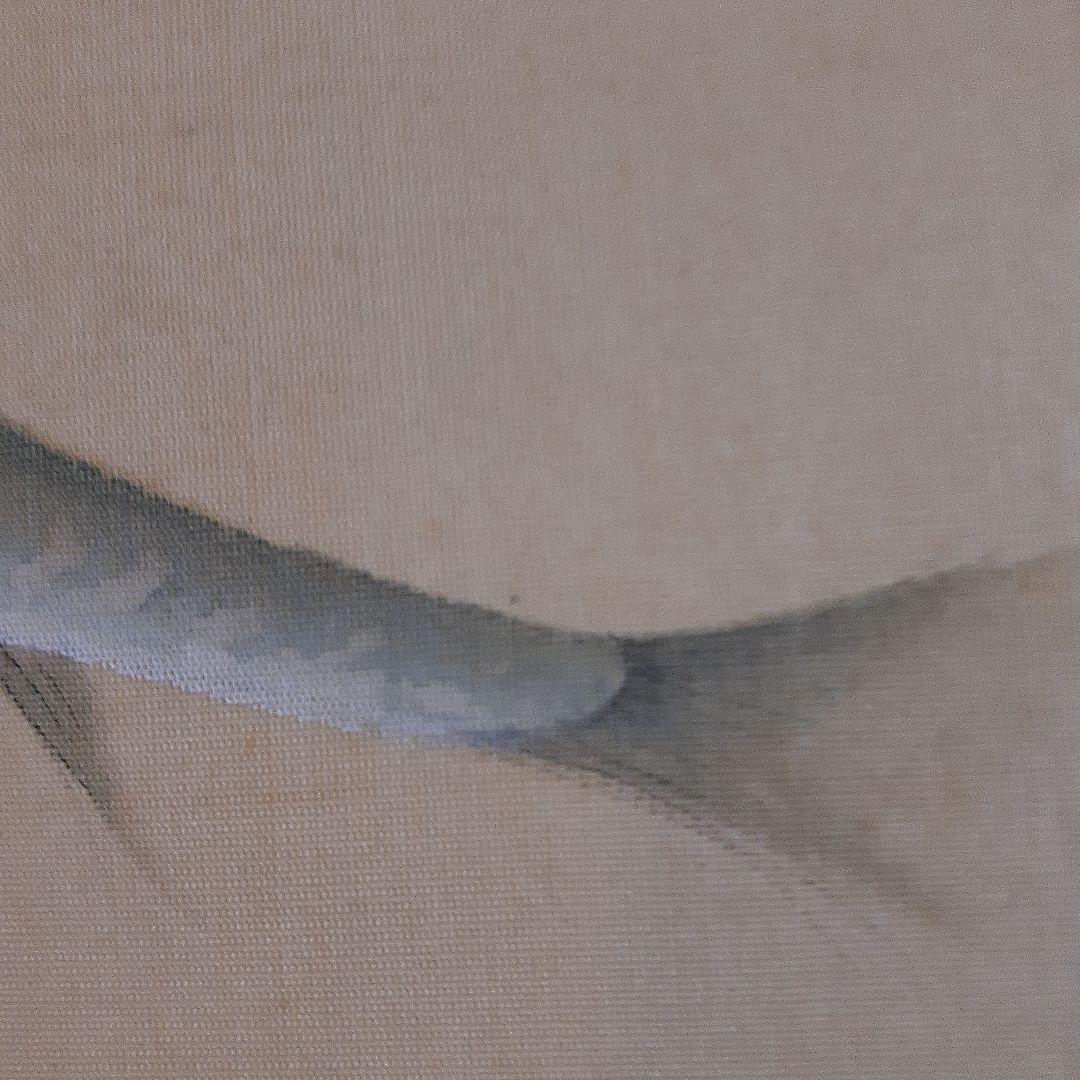 日本画家金島桂華の山女の双魚