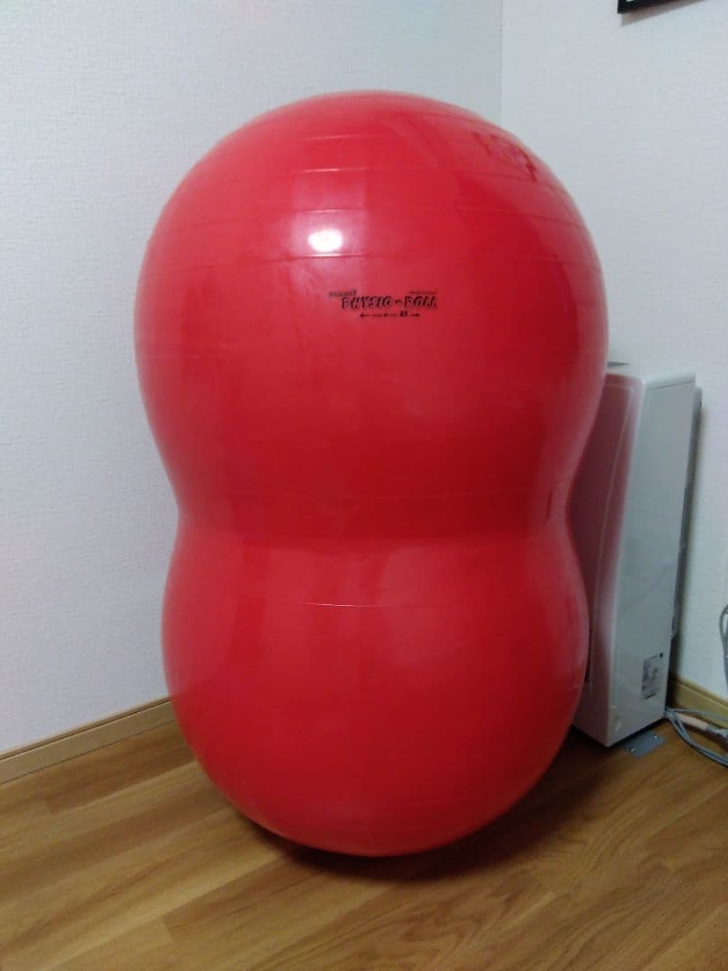ギムニク GYMNIC フィジオロール 直径85cm
