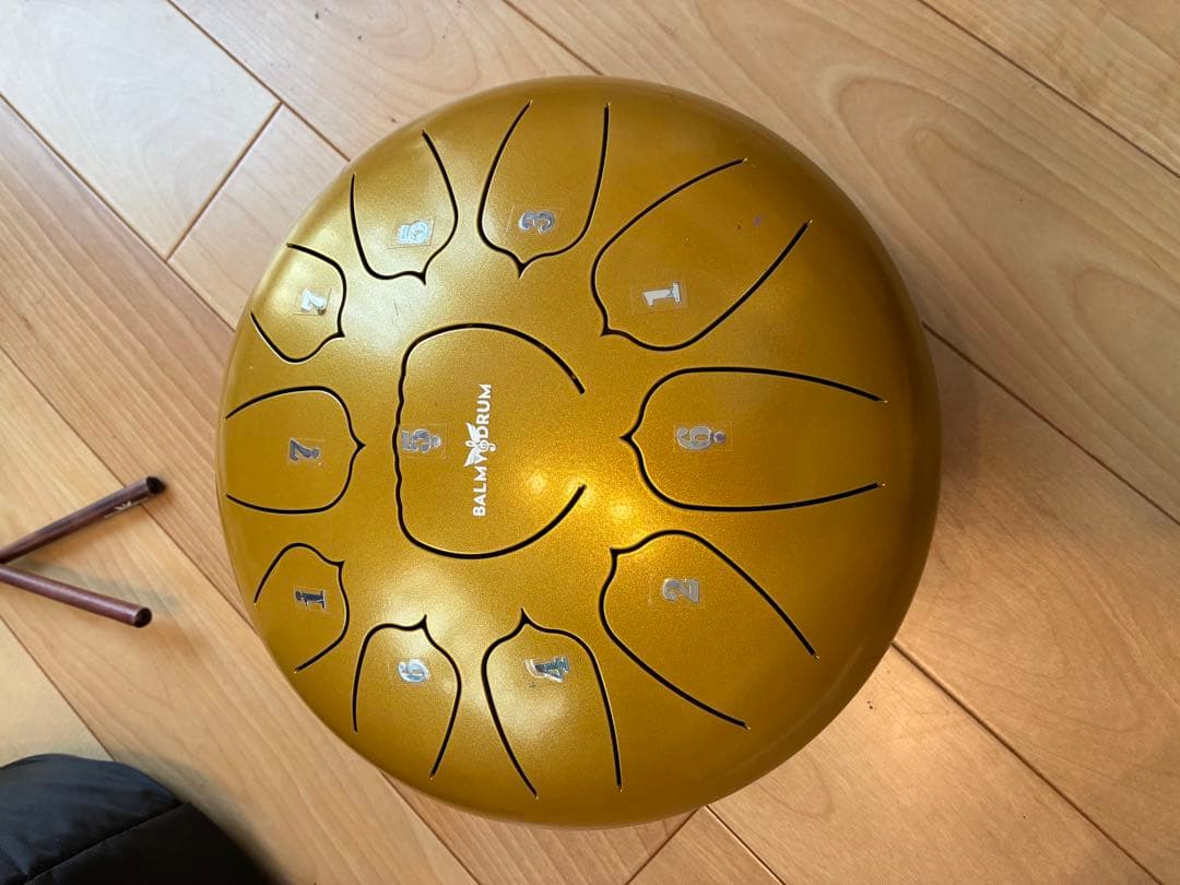 【値下げ】BALMYDRUM 11 Note 10インチ スチールドラム