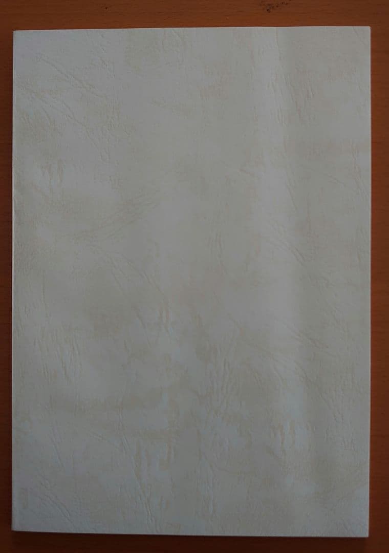 うる星やつら 当時物 昭和平成放送版 シナリオ 台本 アニメ 第213話