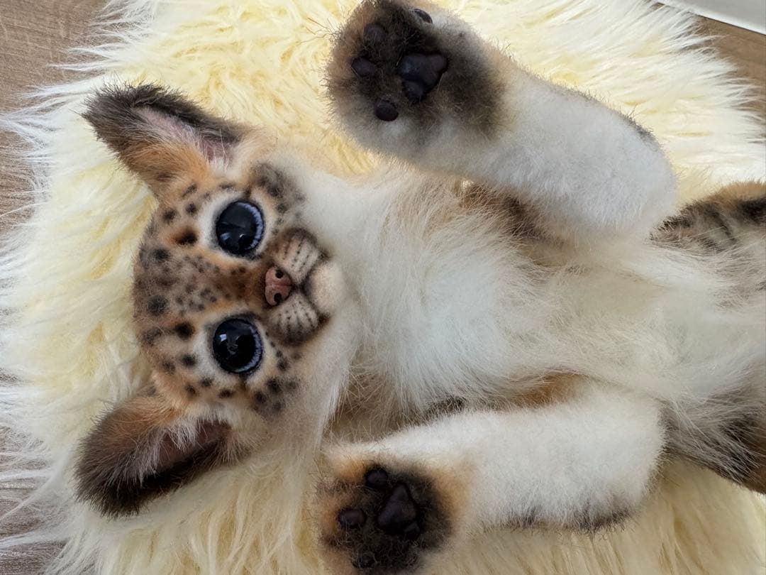 海外作家様　アートドール　ヒョウ