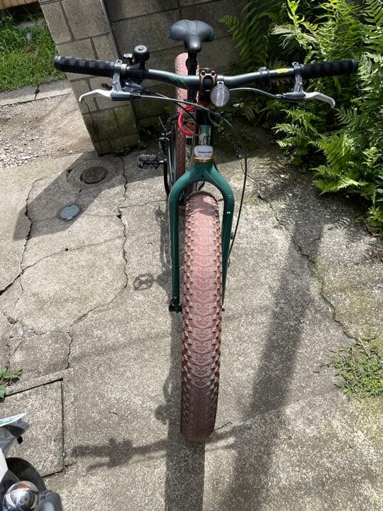 自転車本体 Momentum