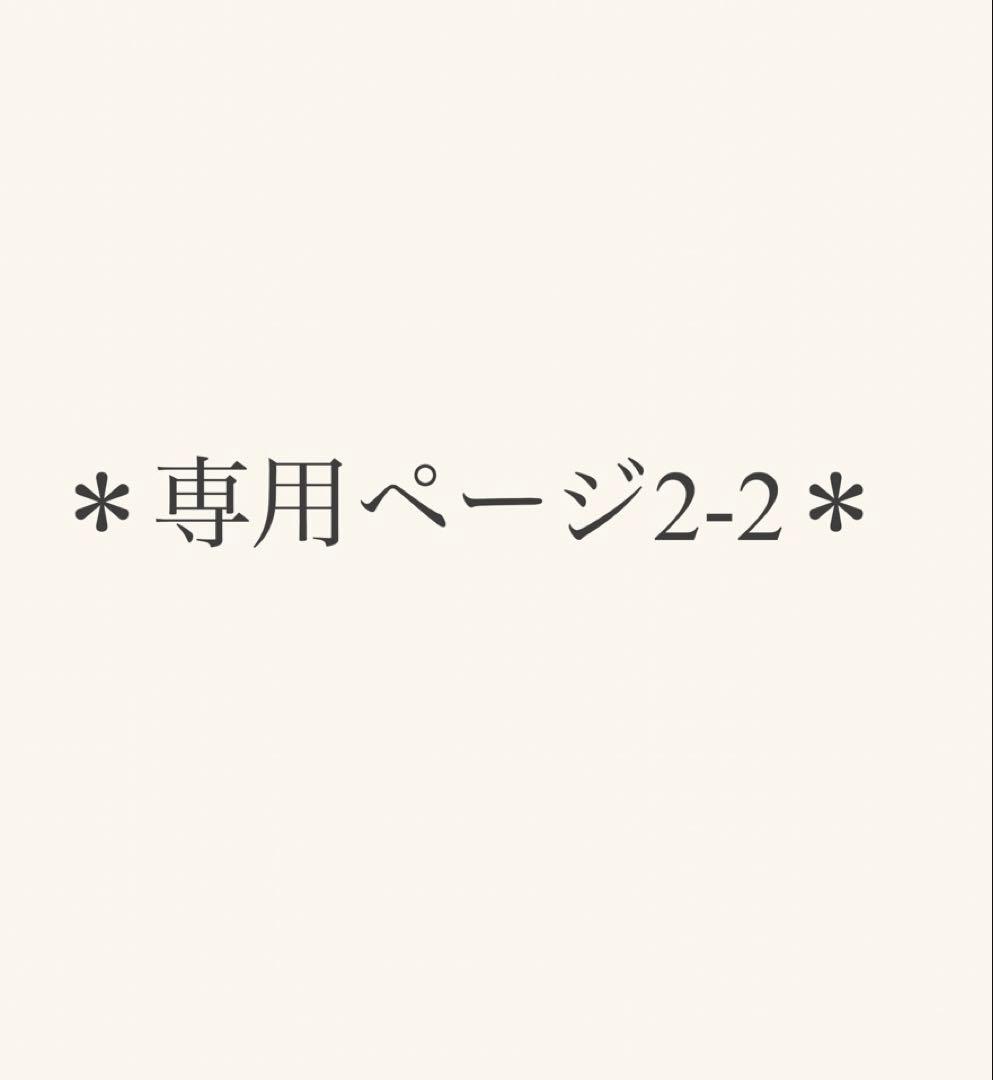 2-2⚠️専用ページ⚠️エアバギーDOME3 ペットカート　アースグレー　ラージ